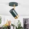 CAMPANAS Ceiling Light green, brass, 1-light source