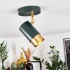 CAMPANAS Ceiling Light green, brass, 1-light source