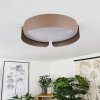 FUSCADO Ceiling Light LED Mocha, 1-light source