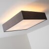 Trio Embassy ceiling light matt nickel, 4-light sources