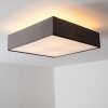 Trio Embassy ceiling light matt nickel, 4-light sources