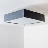 Trio Embassy ceiling light matt nickel, 4-light sources