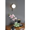 Luce Design PLUTO Wall Light black, 1-light source