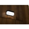 Lutec FRAN Outdoor Wall Light LED black, 1-light source, Motion sensor