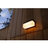 Lutec FRAN Outdoor Wall Light LED black, 1-light source, Motion sensor