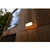 Lutec FRAN Outdoor Wall Light LED black, 1-light source, Motion sensor