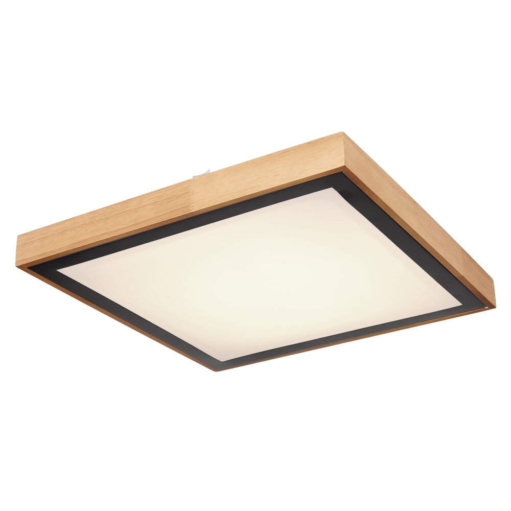 Globo BRUNO Ceiling Light LED white, 1-light source main product photo