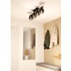 Eglo FILAGO Ceiling Light Dark wood, black, 4-light sources