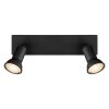 Globo DREW Wall Light black, 2-light sources