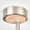 ICALMA Ceiling Light Ecru, matt nickel, 1-light source