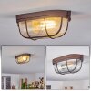 CHAQUIRE Ceiling Light brown, rust-coloured, 1-light source