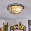 CHAQUIRE Ceiling Light grey, 1-light source