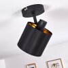 Ceiling Light Alsen black, 1-light source