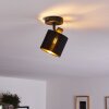 Ceiling Light Alsen black, 1-light source