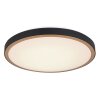 Globo SAMMI Ceiling Light LED brass, black, white, 1-light source