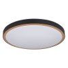 Globo SAMMI Ceiling Light LED brass, black, white, 1-light source