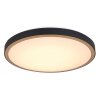 Globo SAMMI Ceiling Light LED brass, black, white, 1-light source