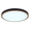 Globo SAMMI Ceiling Light LED brass, black, white, 1-light source