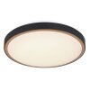 Globo SAMMI Ceiling Light LED brass, black, white, 1-light source