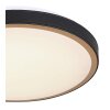 Globo SAMMI Ceiling Light LED brass, black, white, 1-light source