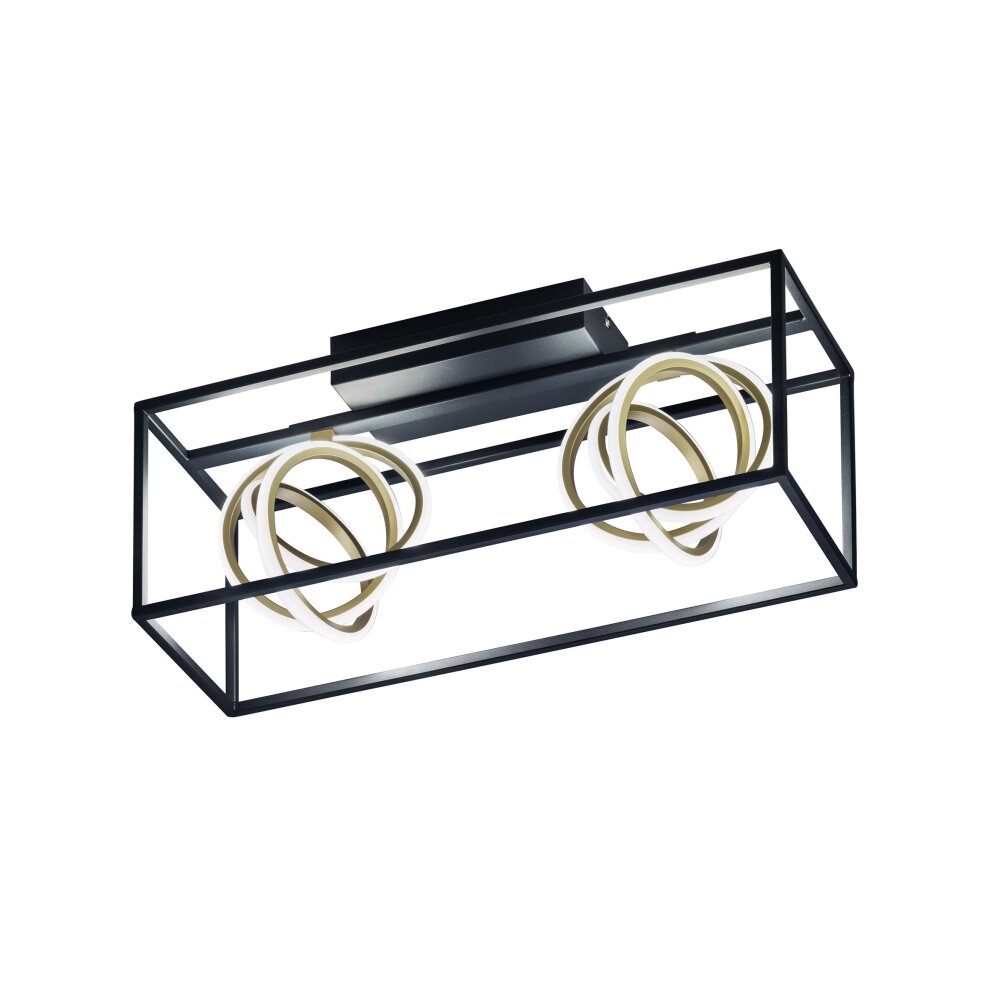 Fischer & Honsel Gisi Ceiling Light LED black, 2-light sources, Remote control