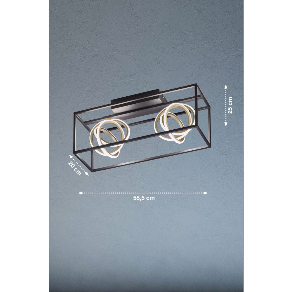 Fischer & Honsel Gisi Ceiling Light LED black, 2-light sources, Remote control