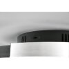 Trio Caya Ceiling Light LED aluminium, black, 1-light source