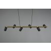 Trio Marley Pendant Light black-gold, 6-light sources