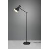 Reality Enzo Floor Lamp black, 1-light source