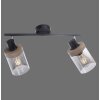 Leuchten-Direkt PASQUAL Ceiling Light black, 2-light sources