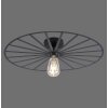 Leuchten-Direkt SPIKE Ceiling Light black, 1-light source