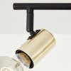 Brilliant Kerry Ceiling Light gold, black, 3-light sources