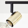 Brilliant Kerry Ceiling Light gold, black, 6-light sources