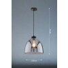 Fischer & Honsel Ren Pendant Light black, 1-light source