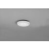 Reality Carus Ceiling Light LED white, 2-light sources