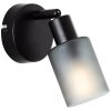 Brilliant Loralie Wall Light black, 1-light source