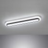 Fischer & Honsel Blithe Ceiling Light LED black, white, 1-light source