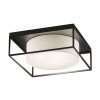 Fischer & Honsel Carre Ceiling Light black, 3-light sources