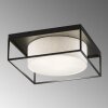 Fischer & Honsel Carre Ceiling Light black, 3-light sources