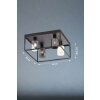 Fischer & Honsel Iska Ceiling Light black, 4-light sources