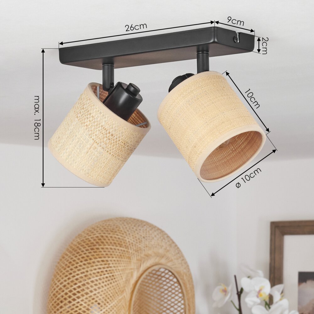 Chenevrey Ceiling Light black, 2-light sources