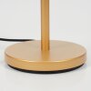 Maschwanden Table lamp gold, 1-light source