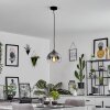 Acey Pendant Light black, 1-light source