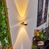 Sapri Wall Light gold, 1-light source