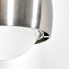 Sapri Wall Light matt nickel, 1-light source