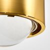 Sapri Wall Light gold, 1-light source