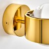 Sapri Wall Light gold, 1-light source