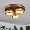 Huallilemu Ceiling Light LED antique brass, 3-light sources