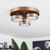 Huallilemu Ceiling Light LED antique brass, 3-light sources