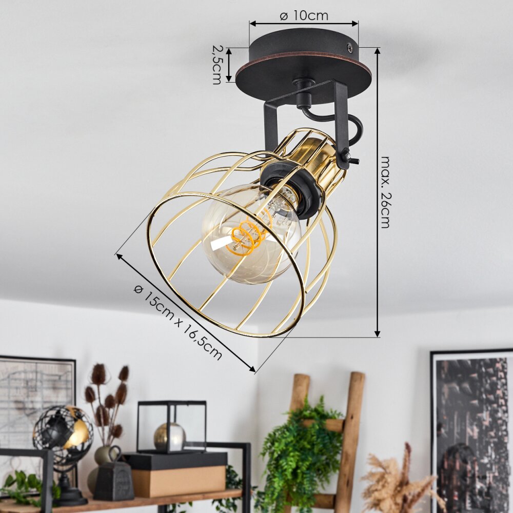 Bitterroot Ceiling Light black, 1-light source